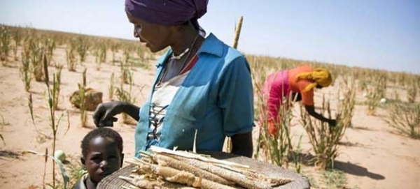 International Women’s Day, 2023 - Her Land, Her Rights: Advancing Gender Equality &amp; Land Restoration Goals