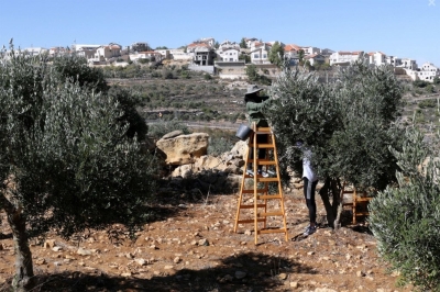 Occupation ‘eating away’ at Israeli, Palestinian societies: Türk