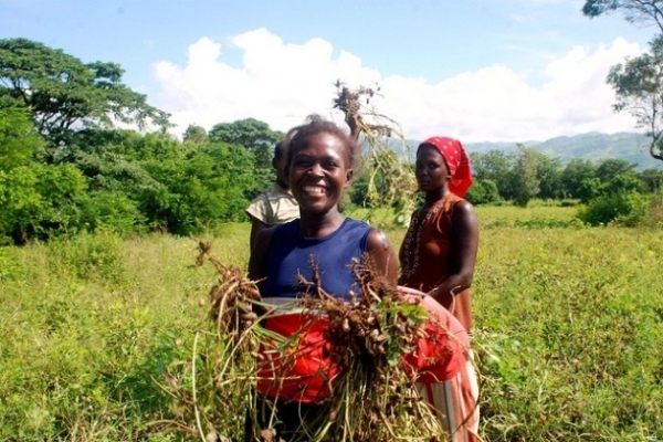 The Caribbeans Role in the Transformation of Agri-Food Systems