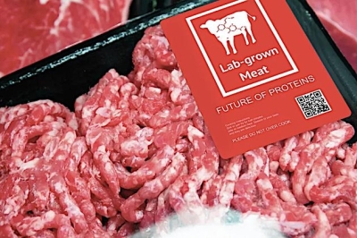 Lab-grown meat slowly on way to US restaurants, grocery stores