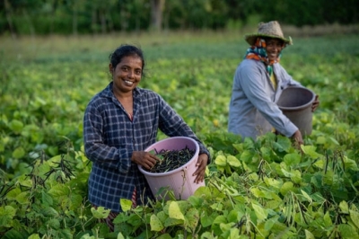Inclusive &amp; Sustainable Businesses Set New Pathways for Sri Lanka