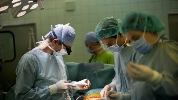 Could animal-to-human transplantation fill the EU’s organ shortage void?
