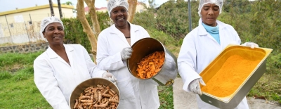 Transformative power of food production in Mauritius: A UN Resident Coordinator blog