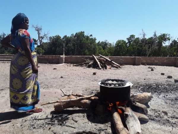 Electrifying Cooking: Decarbonizing Africa’s Electricity Grid Towards Net Zero