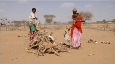 Hunger in East Africa Is a True Testament to Climate Injustice