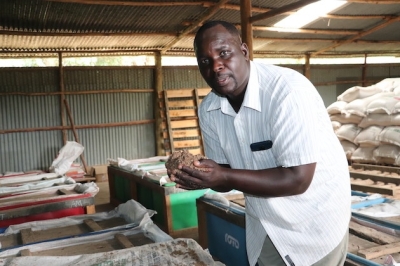 Kenyan Entrepreneur Using Organic Microbes to Unlock Hidden Nutrients in Dairy Feeds