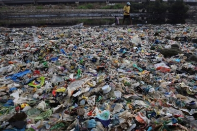 World Must Work Together to Tackle Plastic Ocean Threat: WWF