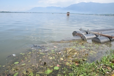 Massive Fish Mortality Strikes Kashmirs Lake, Threatens Livelihoods