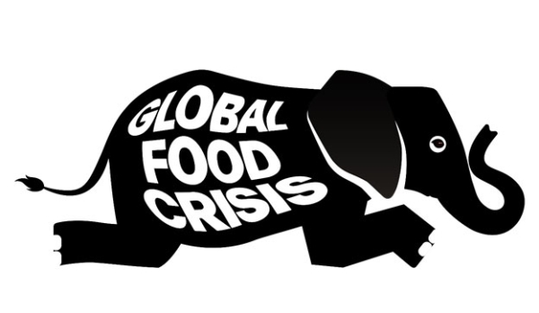 A Plea for a UN Summit on the Global Food Crisis