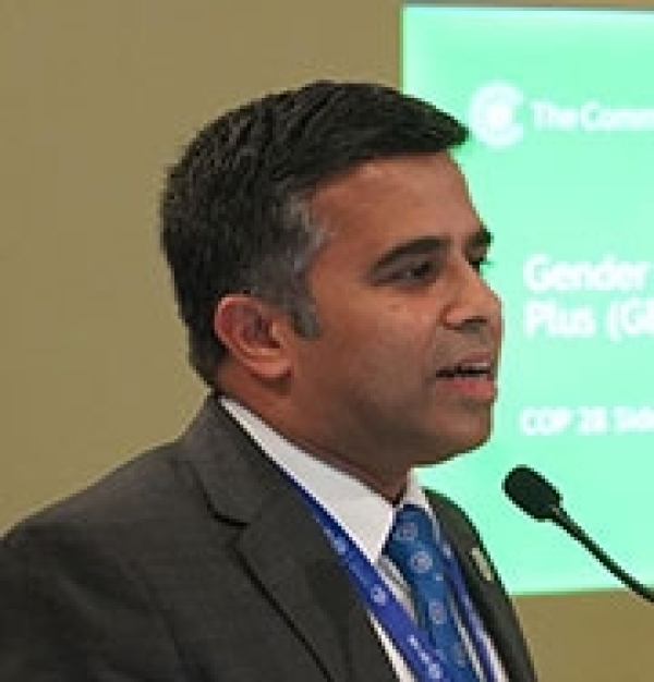 Prospects for Commonwealth Countries, Addressing Gaps and Shaping Expectations for COP29