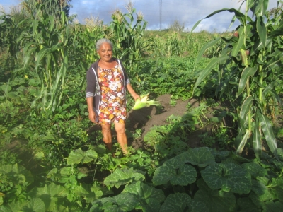 ’Passion Seeds’ Fertilize Brazil’s Semiarid Northeast